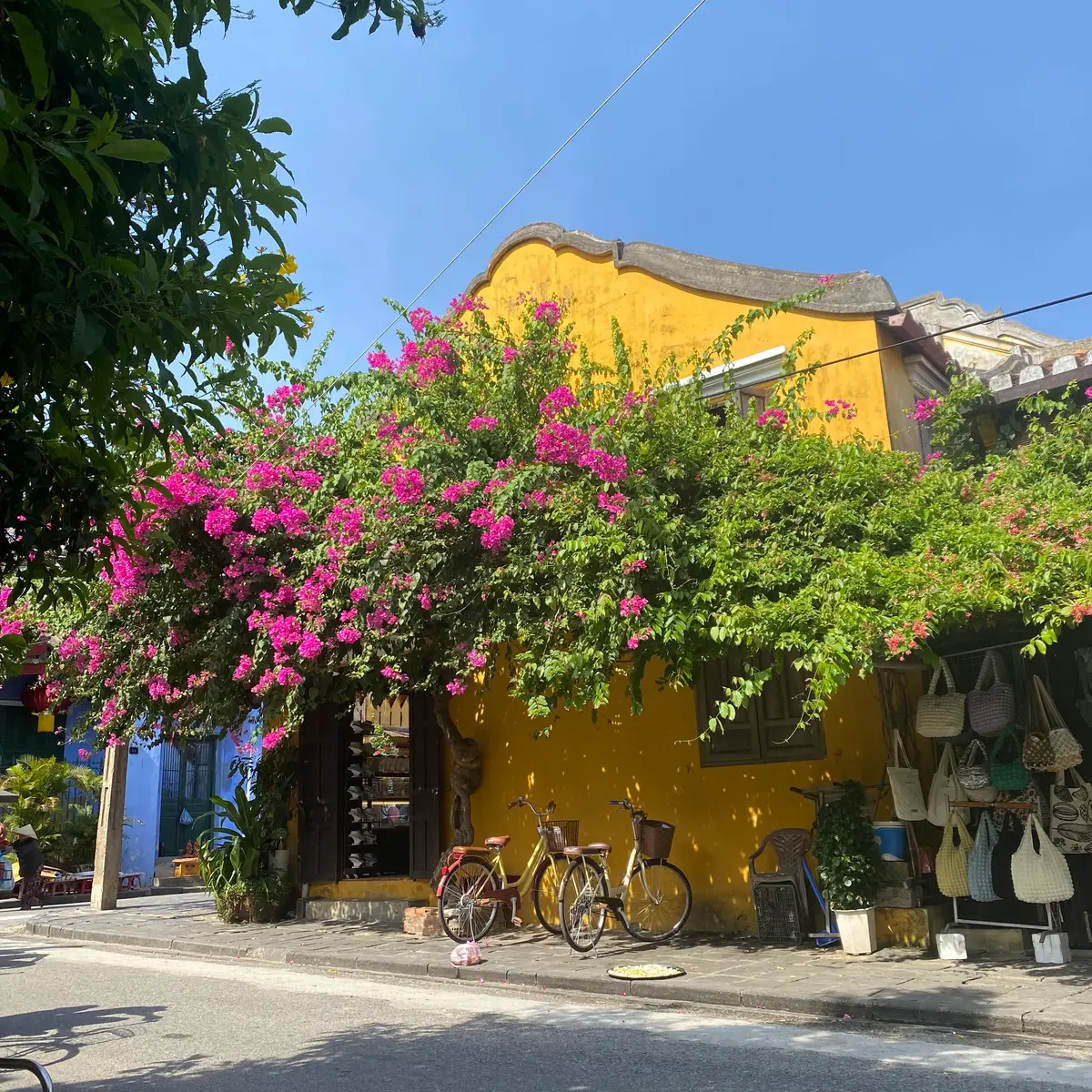 Yellow-walled street with bougainvillea near Ba Bay in the old town of Hoi An