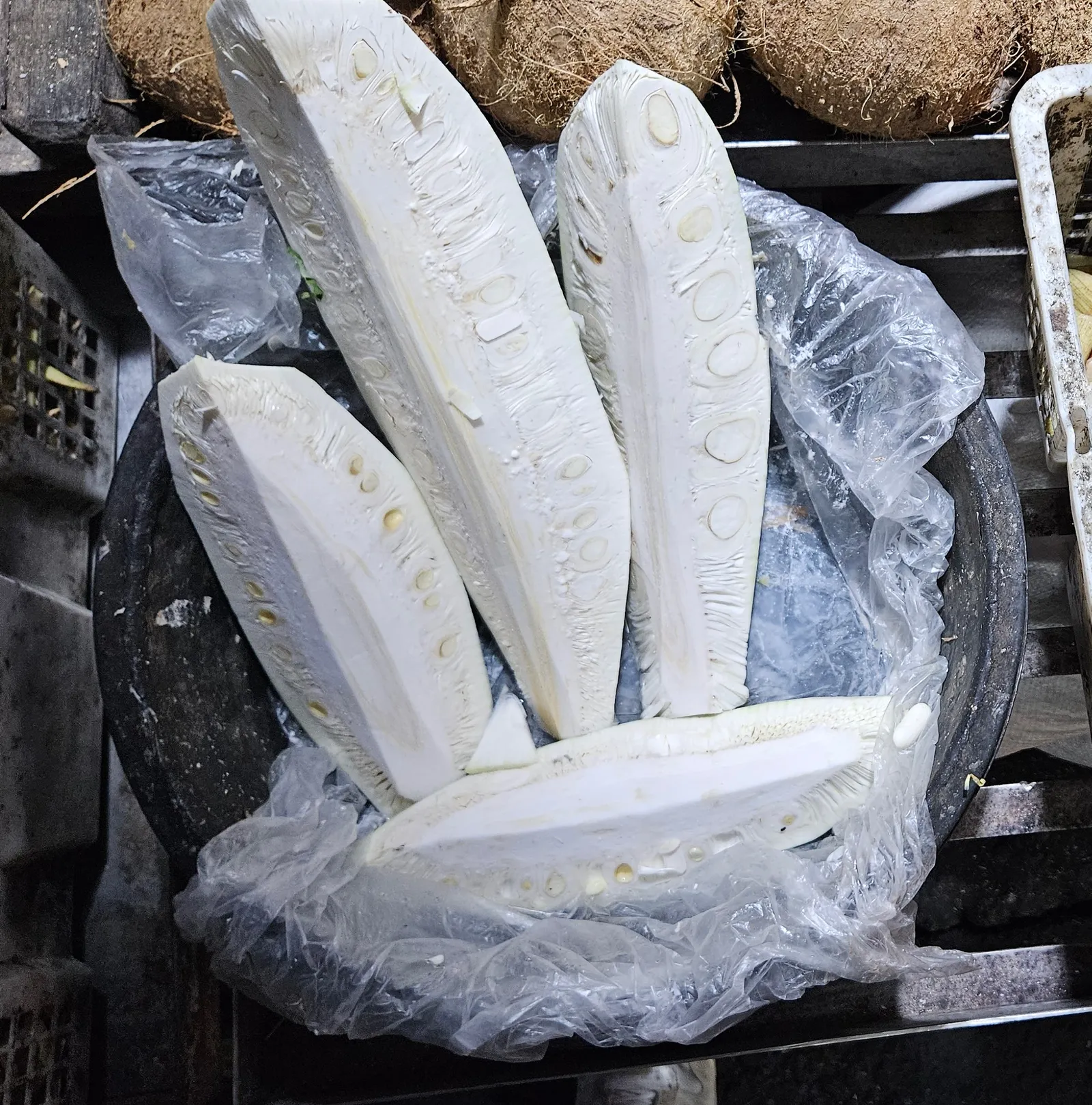 Several pale, peeled sections of unripe jackfruit laid out on a plastic-lined tray beside coconuts.